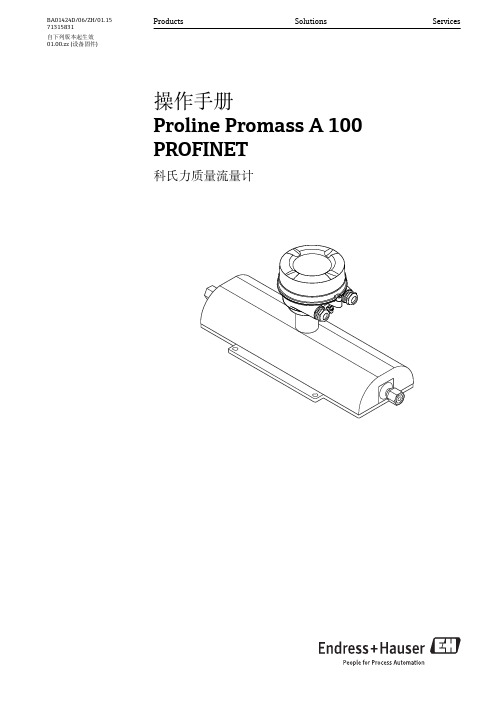 Promass A 100 PROFINET 科氏力质量流量计 操作手册说明书