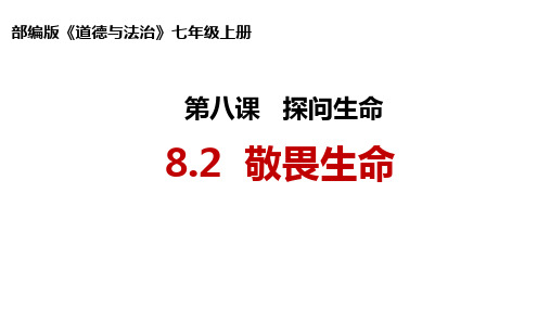 8.2 敬畏生命 课件(21张PPT)-2023-2024学年统编版道德与法治七年级上册