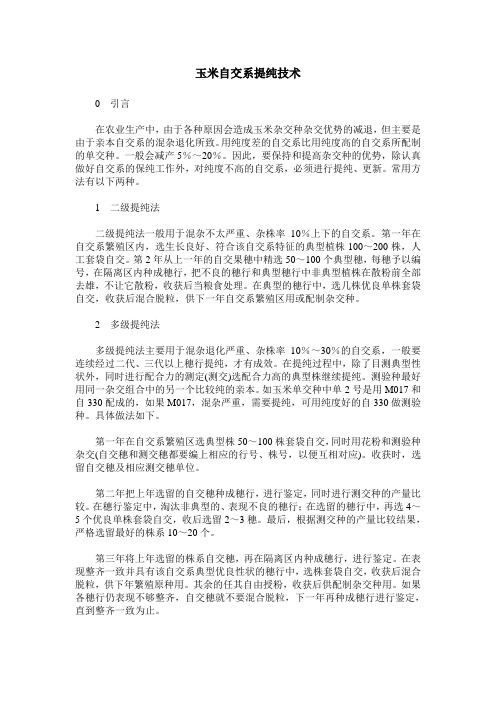 玉米自交系提纯技术