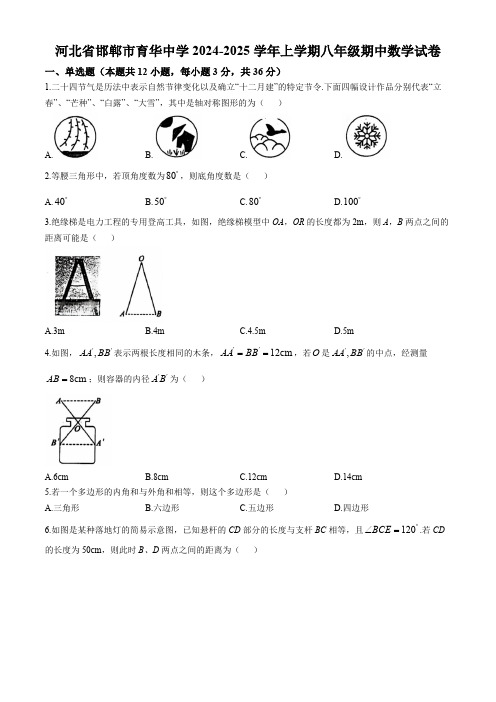 河北省邯郸市育华中学2024-2025学年上学期八年级期中数学试卷(含答案)