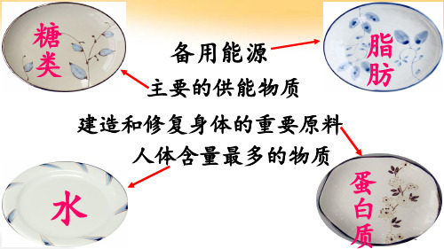 消化和吸收PPT课件