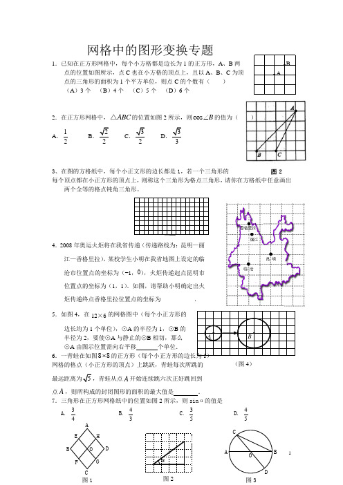 网格中的图形变换专题