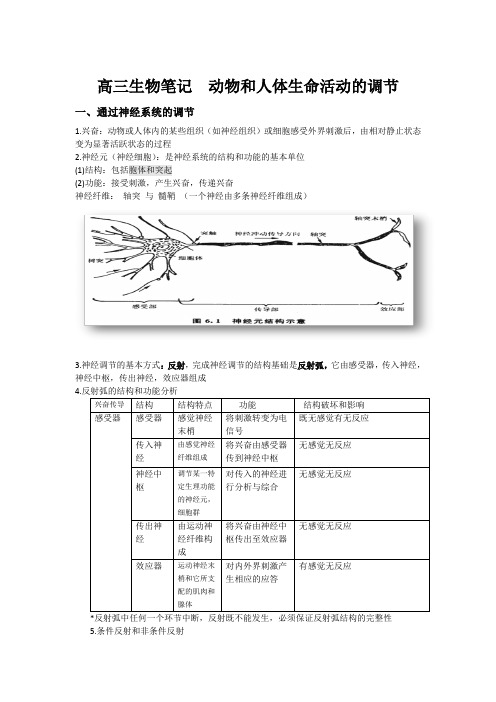 高三生物笔记  动物和人体生命活动的调节