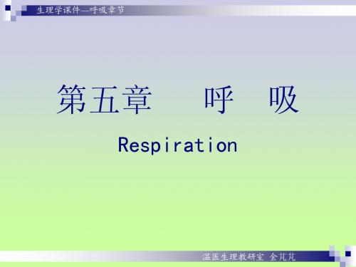 呼吸6(王庭槐42)