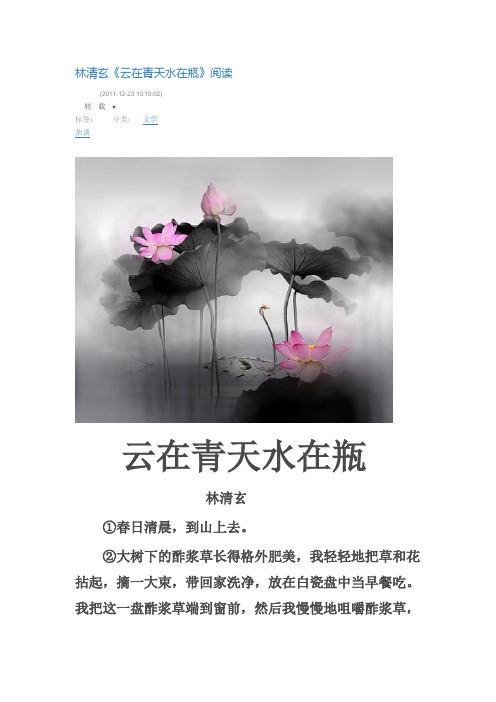 林清玄的《云在青天水在瓶》阅读理解