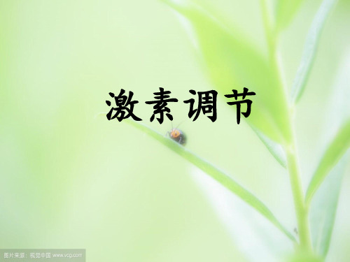 七年级下册生物《激素调节》说课PPT