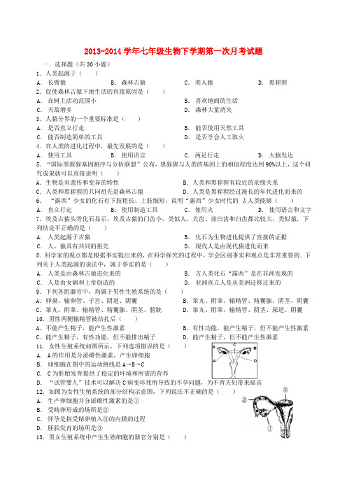 广东省河源市中英文实验学校2013-2014学年七年级下学期生物第一次月考试题 (word版含答案)