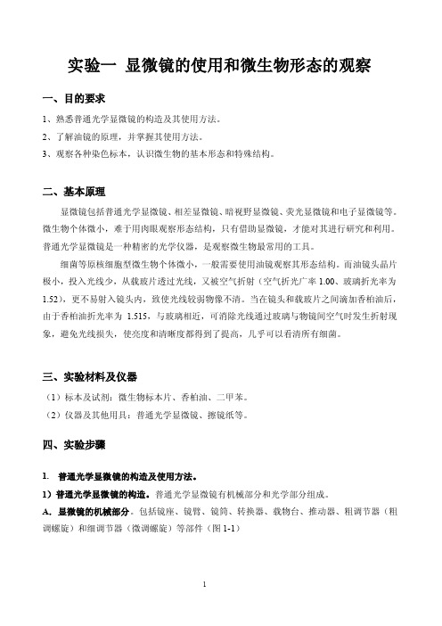 实验指导_实验一、显微镜的使用和微生物形态的观察