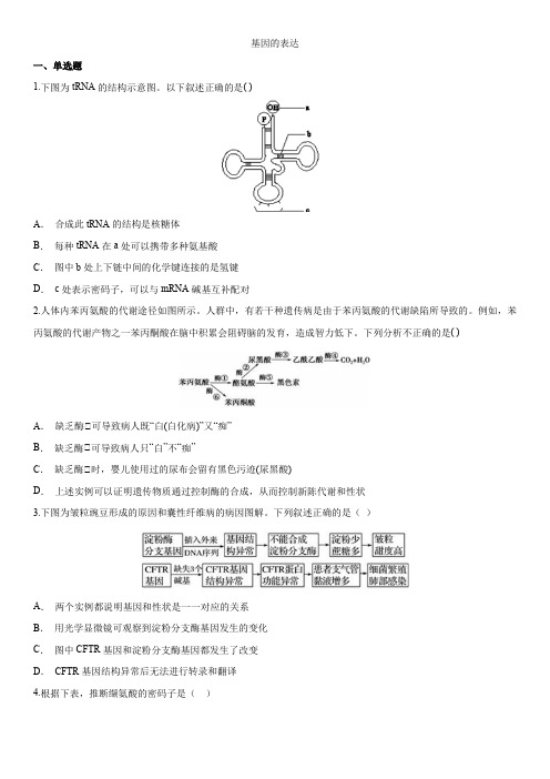 人教版生物(必修二)单元练习卷：基因的表达