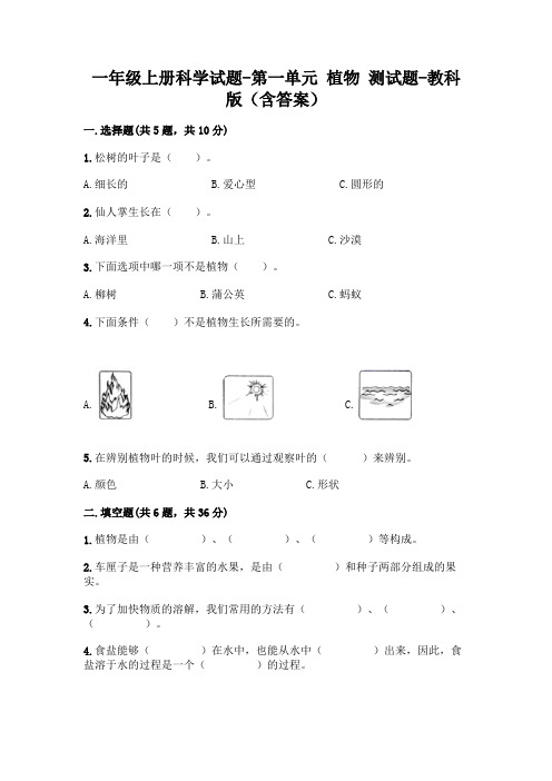 一年级上册科学试题-第一单元 植物 测试题-教科版(含答案)