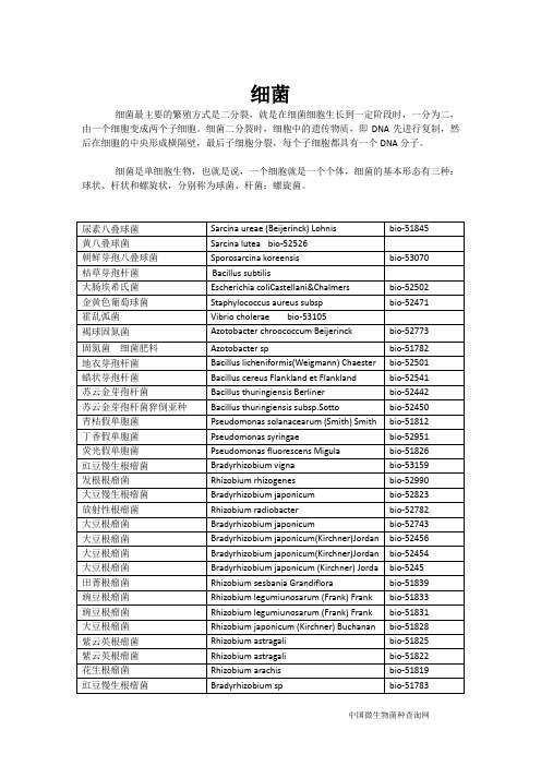 中国微生物菌种查询网细菌目录(部分)