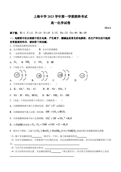 2023-2024学年上海市上海中学高一上学期期末考试化学试卷