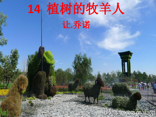 【部编新版】14植树的牧羊人【初一语文上册+精品课件】