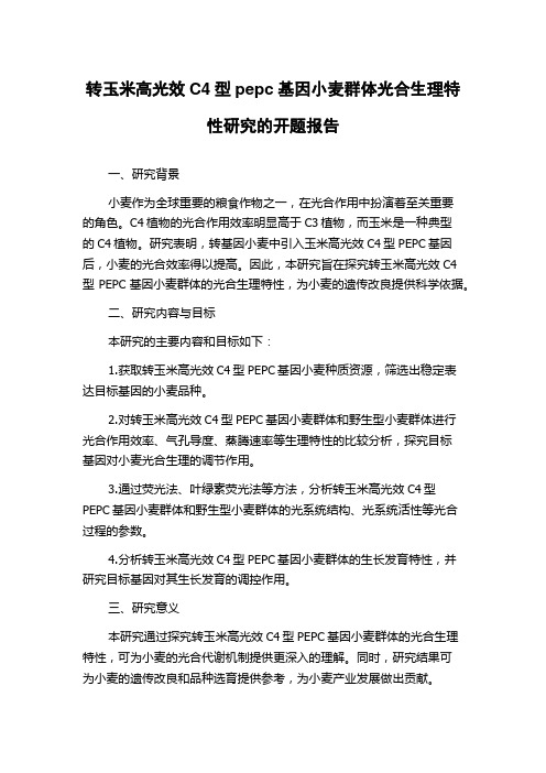 转玉米高光效C4型pepc基因小麦群体光合生理特性研究的开题报告