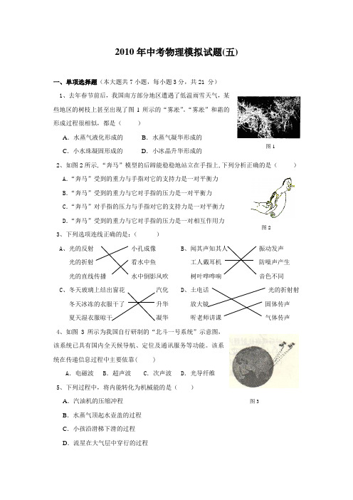 2010年中考物理模拟试题