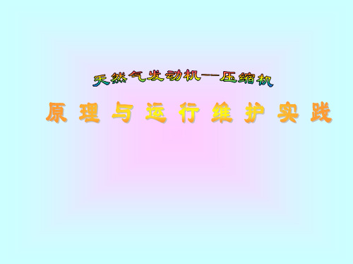 天然气发动机