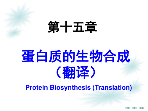 第十五章 蛋白质生物合成