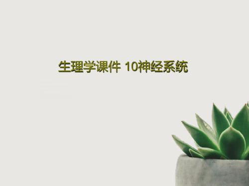 生理学课件 10神经系统270页PPT