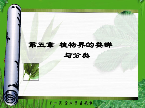 植物学课件第 五章 植物界的类群与分类