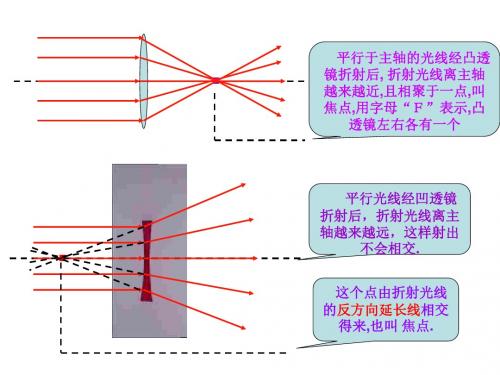 初二物理下学期透镜及成像原理