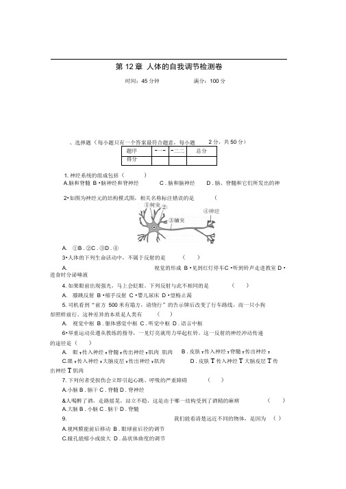 七年级生物下册第12章人体的自我调节检测卷(新版)北师大版