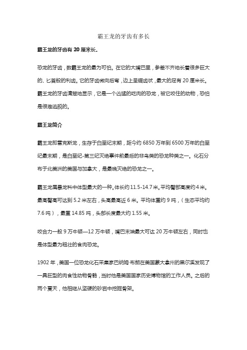 霸王龙的牙齿有多长