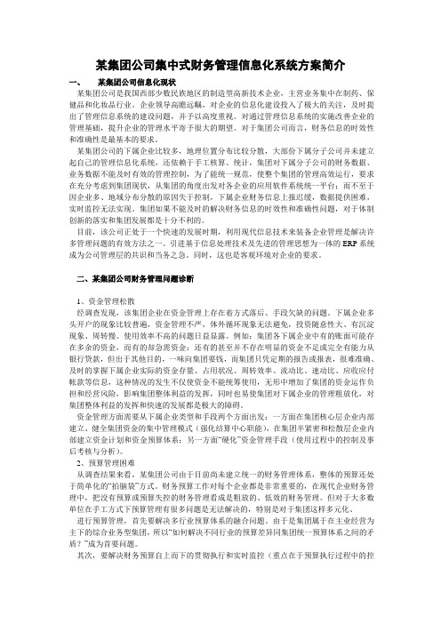 某集团公司集中式财务管理信息化系统方案.doc