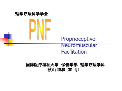 PNF疗法