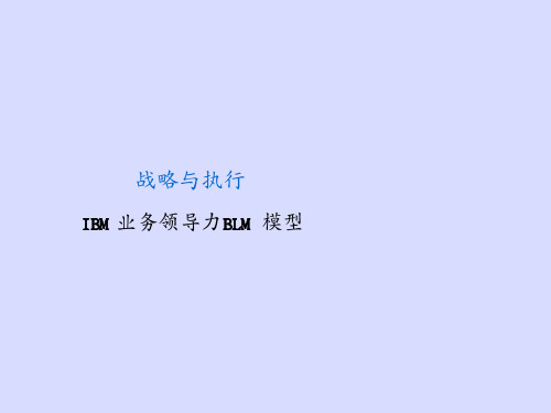 华为从IBM引进的BLM模型-战略与执行：IBM业务领导力BLM模型