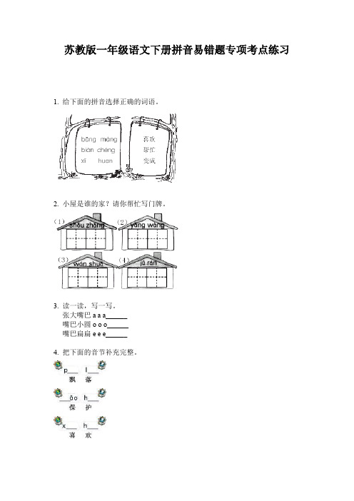 苏教版一年级语文下册拼音易错题专项考点练习