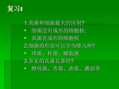 生物人教版(新课程标准)八年级上册第五单元第四章第四节 细菌和真菌在自然界中的作用PPT课件