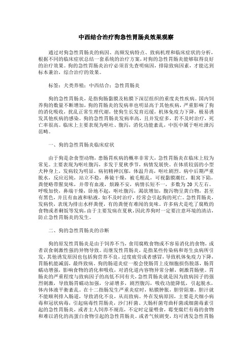 中西结合治疗狗急性胃肠炎效果观察