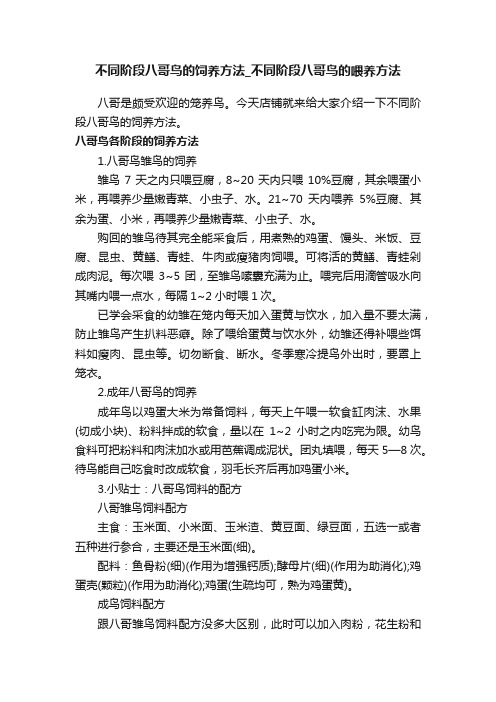 不同阶段八哥鸟的饲养方法_不同阶段八哥鸟的喂养方法