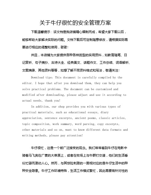 关于牛仔很忙的安全管理方案