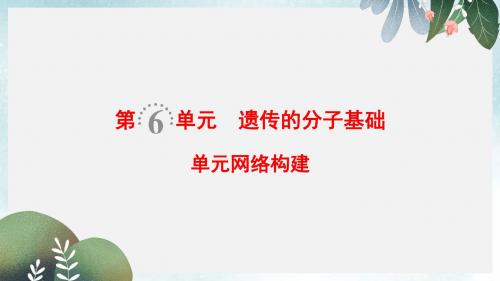 高考生物一轮复习第6单元遗传的分子基础单元网络构建课件