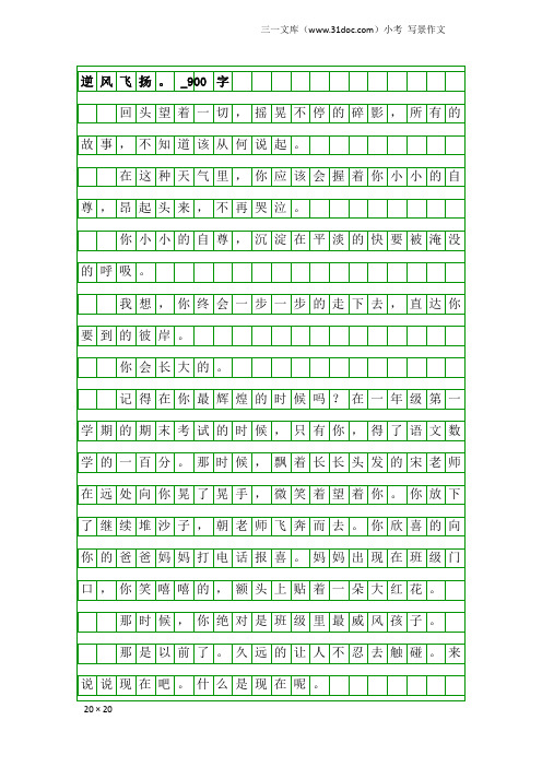 小考写景作文：逆风飞扬。_900字