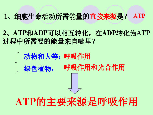 人教版高中生物必修一课件-5.3 ATP的主要来源──细胞呼吸 