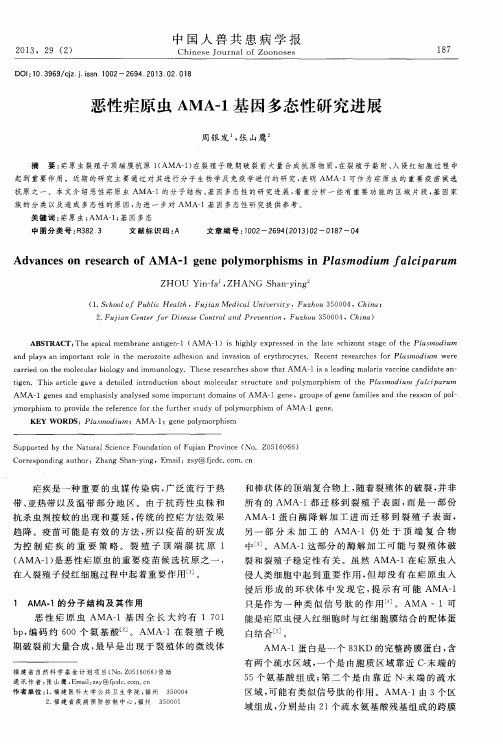恶性疟原虫AMA-1基因多态性研究进展