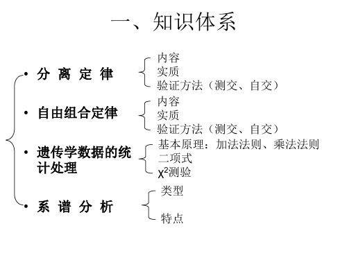 遗传学中文课件_PPT幻灯片