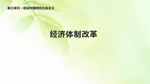 北师大版八年级历史下册11《经济体制改革》课件