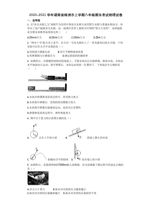 湖南省株洲市2020-2021学年八年级上学期期末考试物理试卷试题(Word版,含答案)