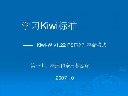 Kiwi标准概述和全局数据帧