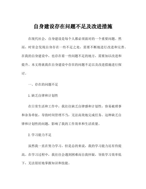 自身建设存在问题不足及改进措施