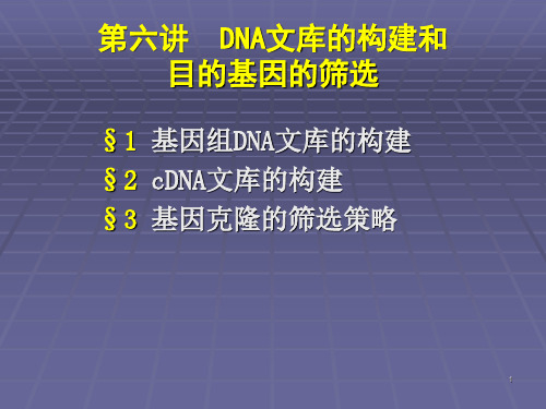 DNA文库的构建和目的基因ppt课件