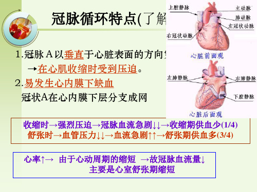 第28抗心绞痛药精品PPT课件