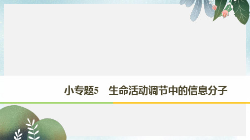 高考生物二轮复习专题五生命活动调节小专题5生命活动调节中的信息分子课件