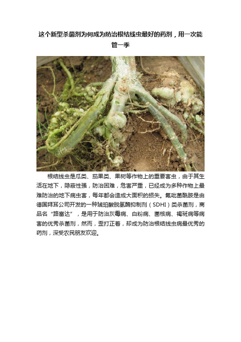 这个新型杀菌剂为何成为防治根结线虫最好的药剂，用一次能管一季