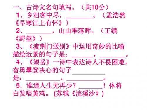 八年级语文上册期末复习测试卷