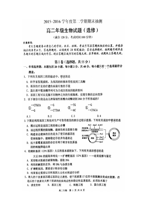 江苏省徐州市2015-2016学年高二下学期期末考试生物试题扫描版含答案