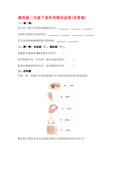 教科版二年级下册科学期末试卷(有答案)